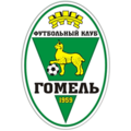 Команда FC Gomel